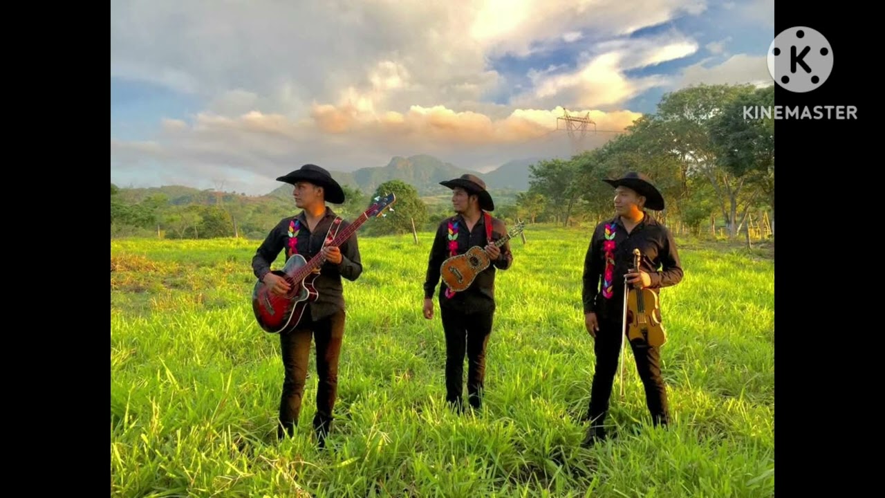Linda(Zapateado)-Trío Cenzontle Huasteco