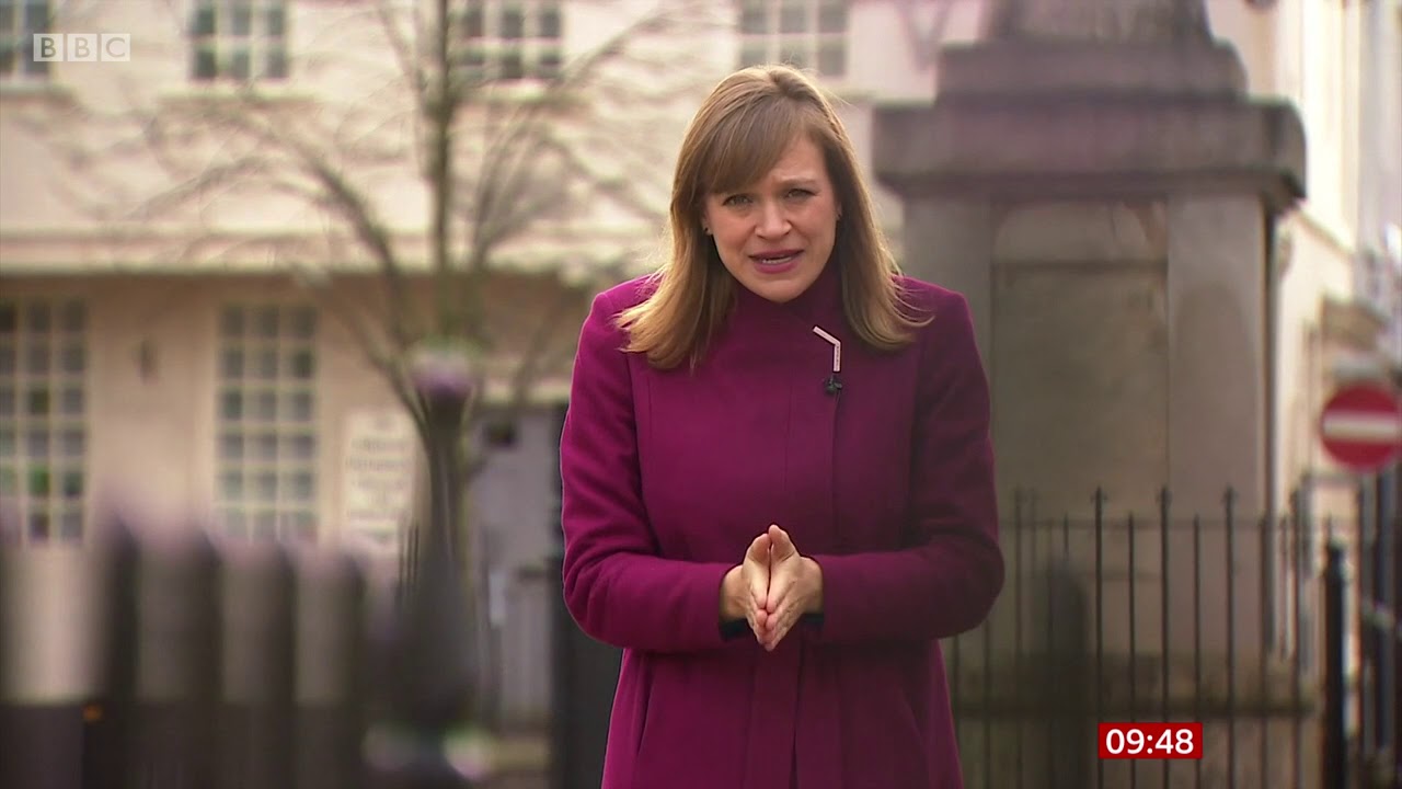 Dolphin Trust - BBC Report 28.11.20