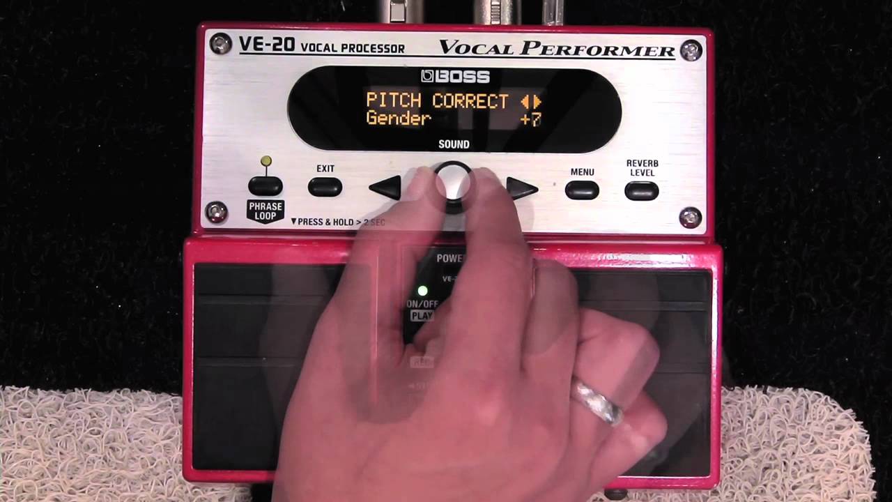 BOSS VE-20 Pitch Correct