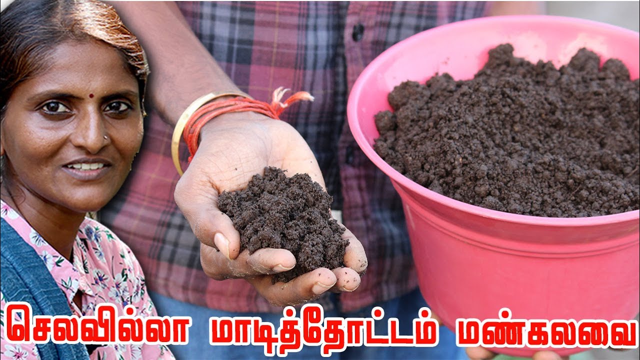 kitchen waste,கரும்பு சக்கை,காய்ந்த இலைகள் கொண்டு செலவில்லா மாடித்தோட்டம் மண்கலவை | Terrace Garden