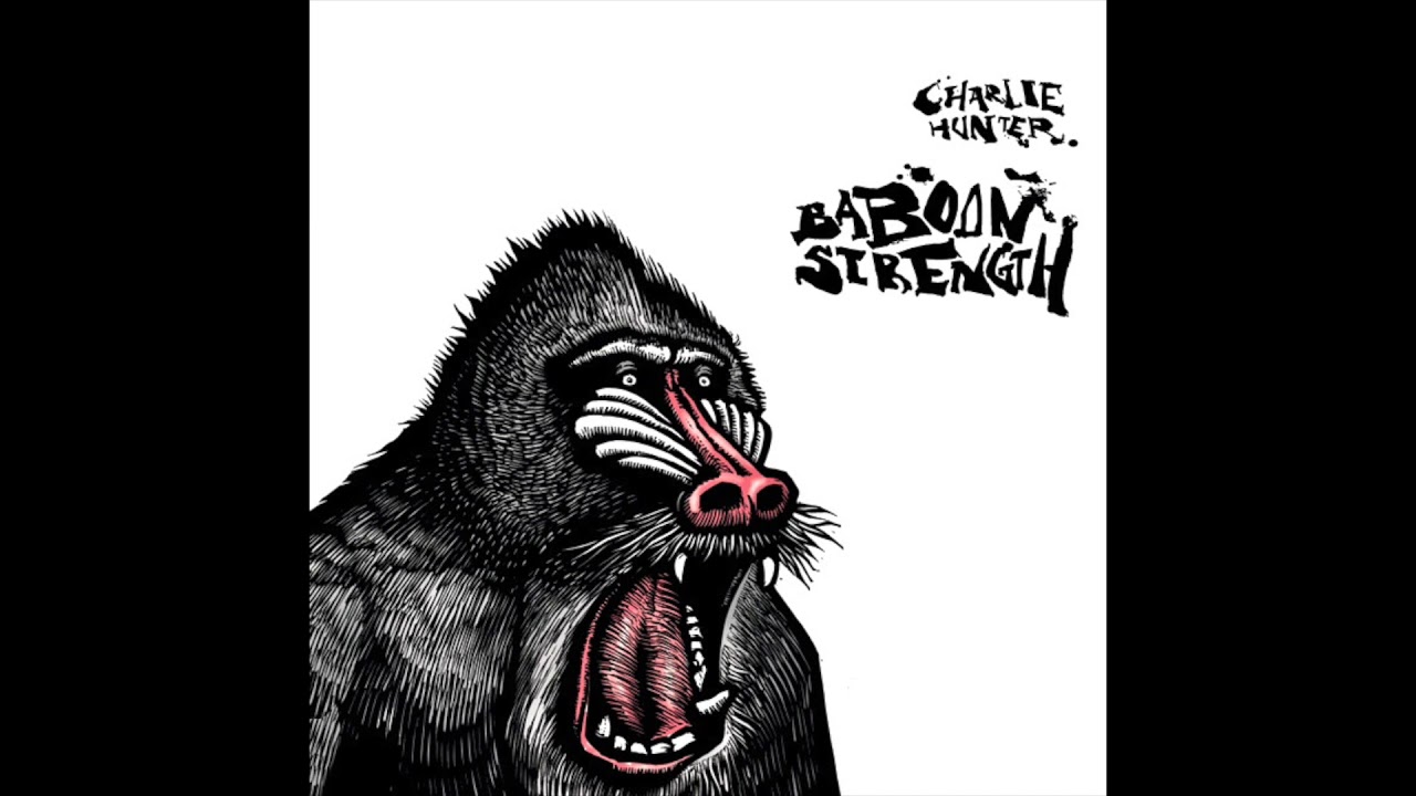 Charlie Hunter - Fine Corinthian Leather