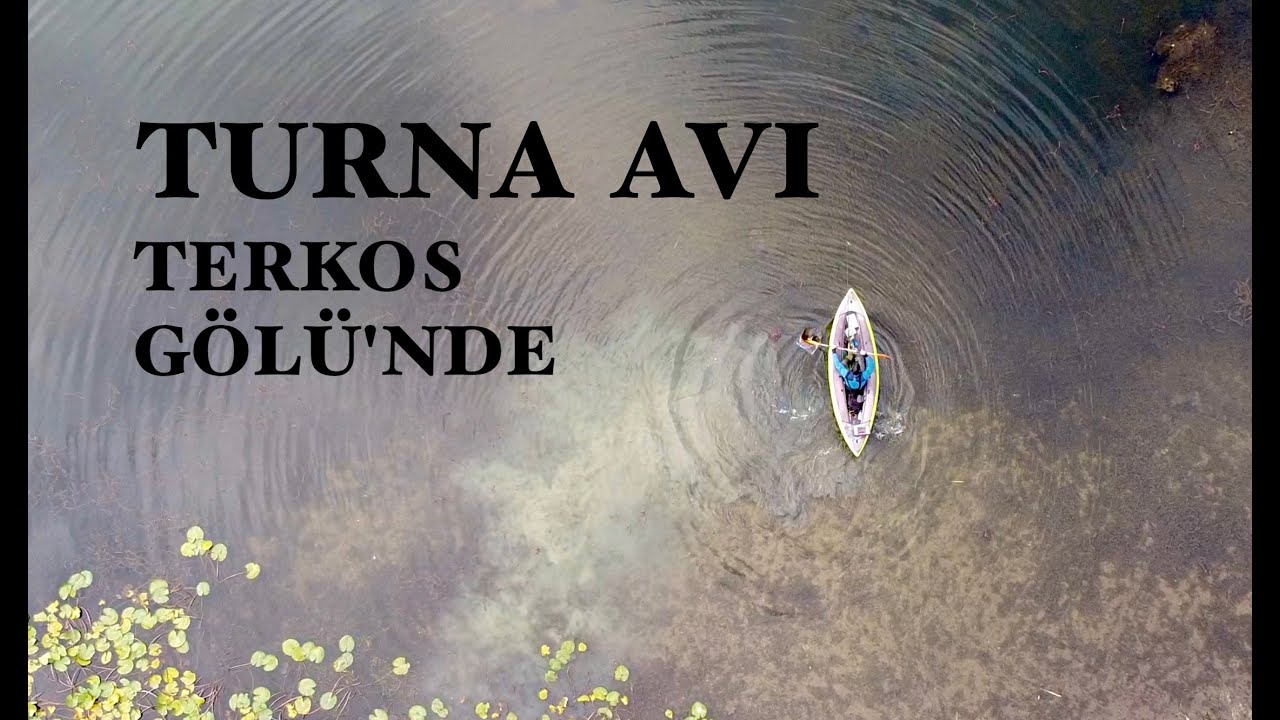TURNA AVI SEZON AÇILIŞI \ ISTANBUL Terkos Gölü’nde