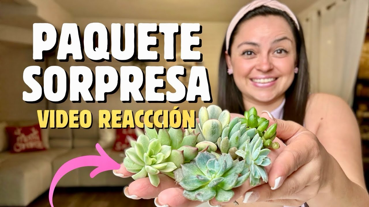 😍Video REACCIÓN y plantando SUCULENTAS que recibí de SORPRESA🥳