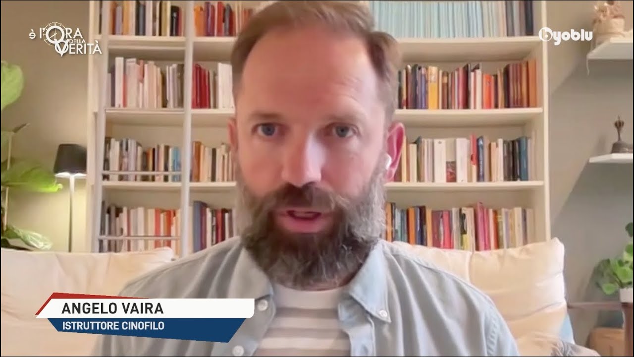 Angelo Vaira: Aggressioni dei cani