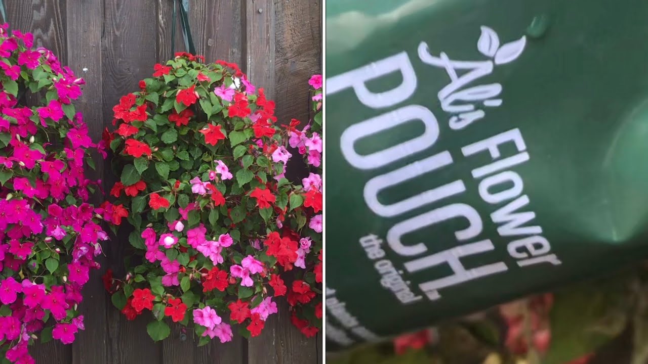 &ldquo;growing flowers&rdquo; in a PLASTIC BAG (al&rsquo;s flower pouch)&hellip;