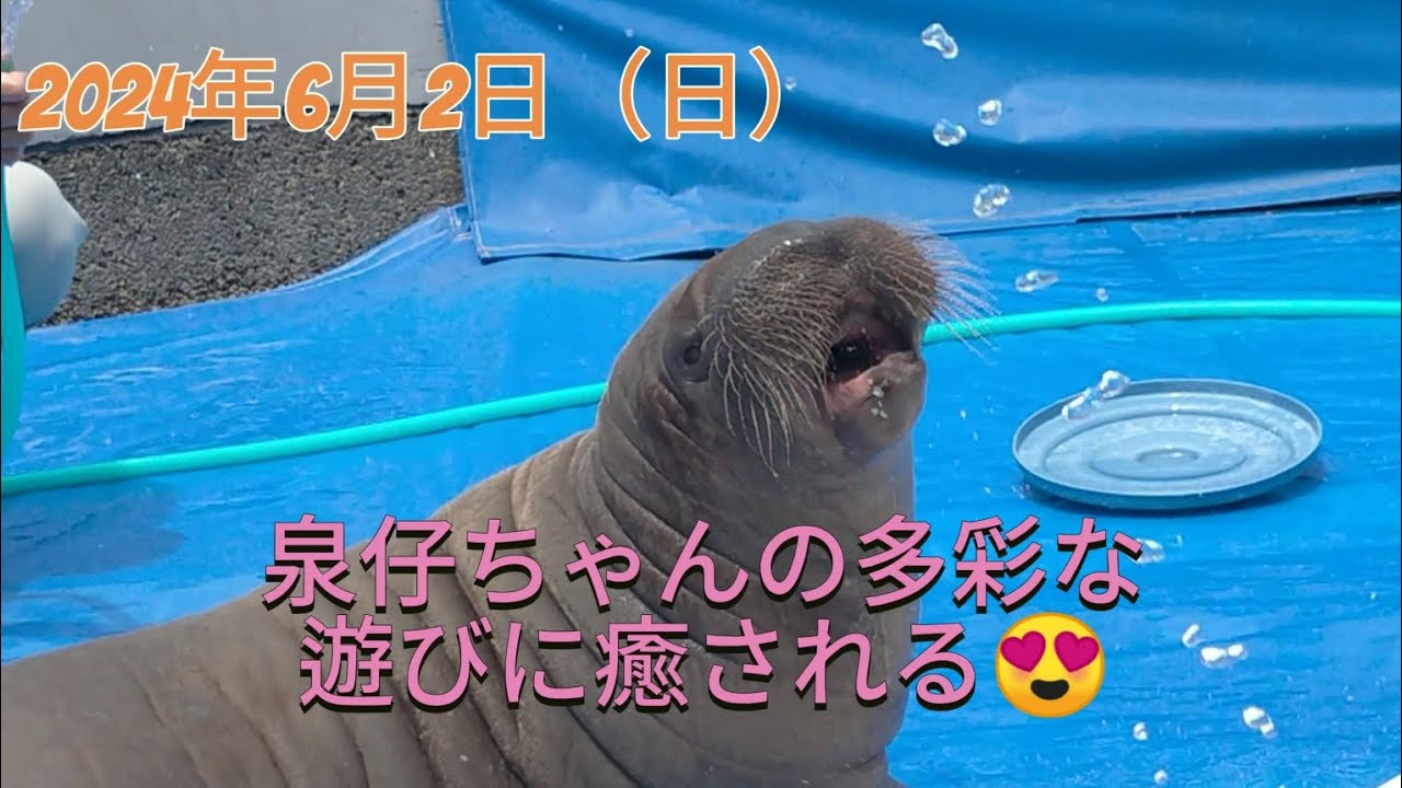 うみたまご 2024年6月2日　赤ちゃんを動かす原動力は【水】