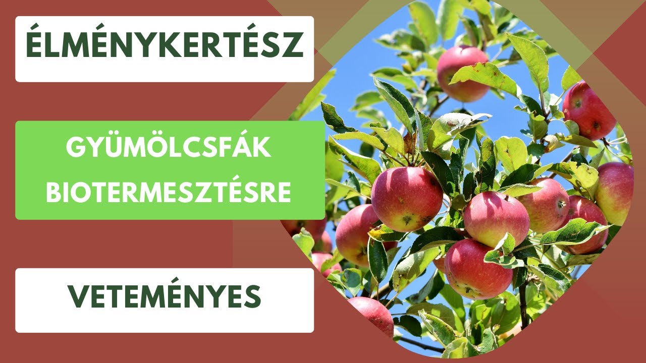 Mitől lesz alkalmas egy gy&uuml;m&ouml;lcsfa biotermeszt&eacute;sre?🌳
