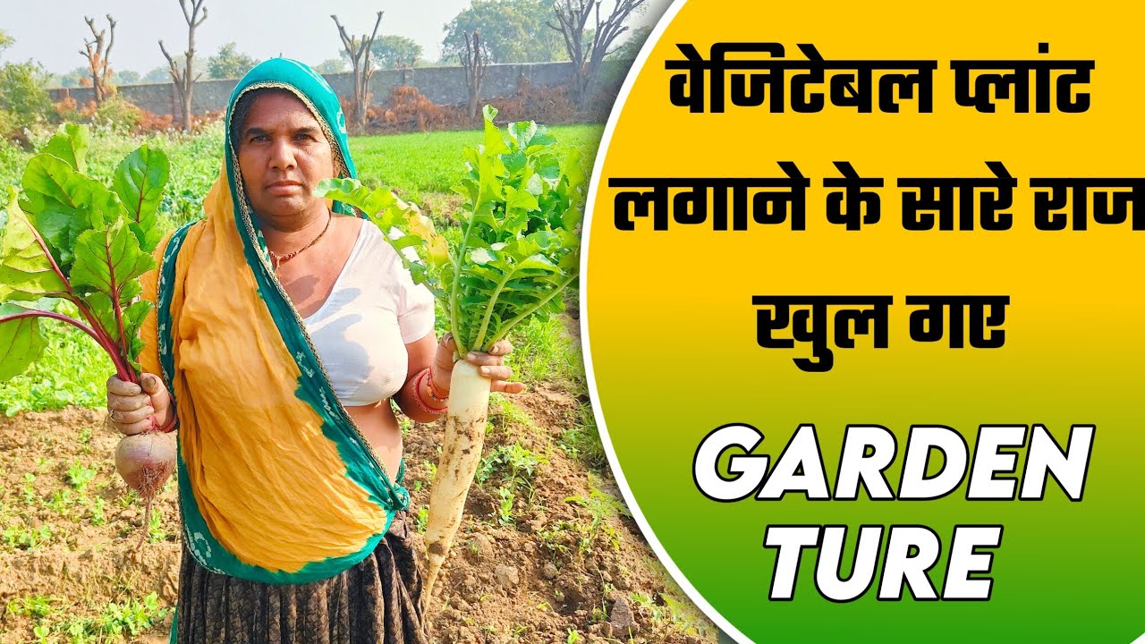 वेजिटेबल प्लांट लगाने का सही तरीका || how to grow vegetable plant || garden tour
