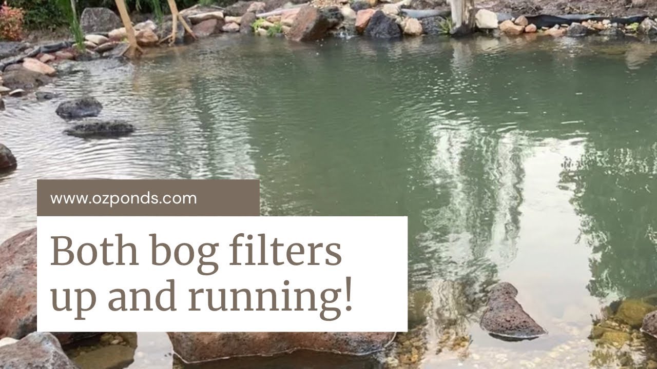 Dream pond build update| Starting on edges| Second bog filter running