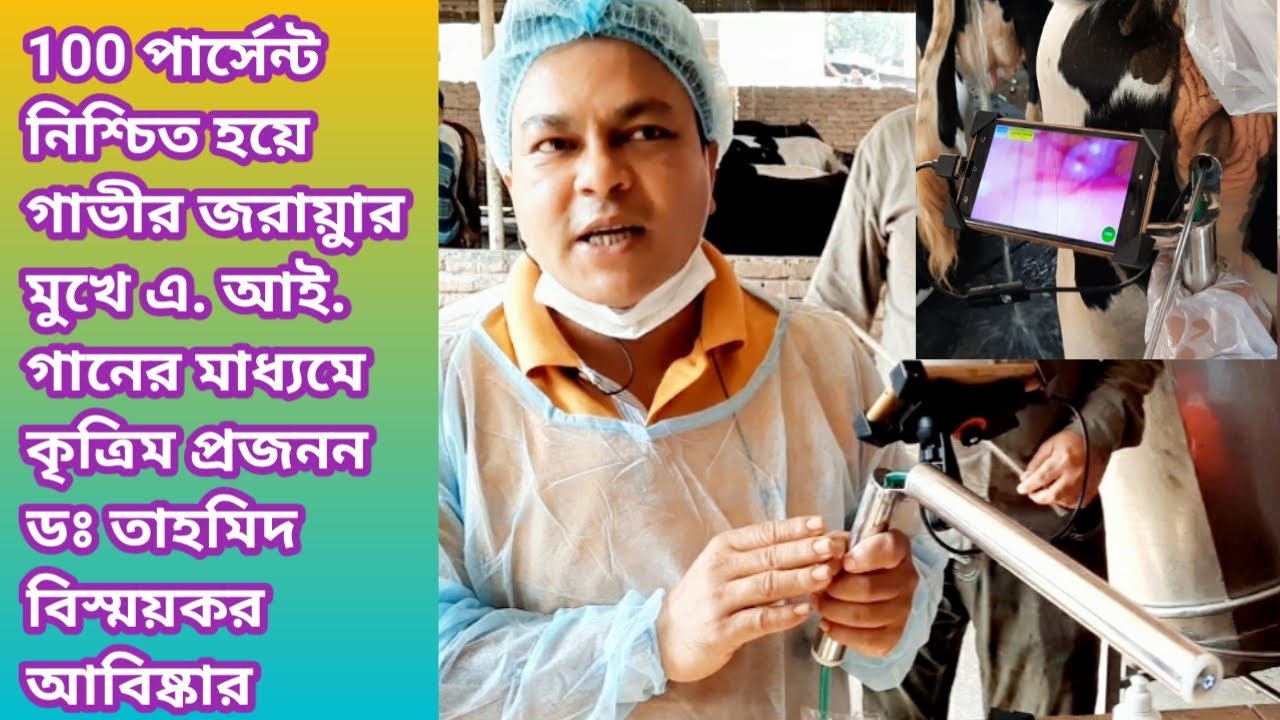 ডাঃ তাহমিদ বিস্ময়কর আবিস্কার100 পার্সেন্ট নিশ্চতহয়েগাভীর জরায়ুারমুখে এ,আই গানেরমাধ্যমে কৃএিমপ্রজনন;