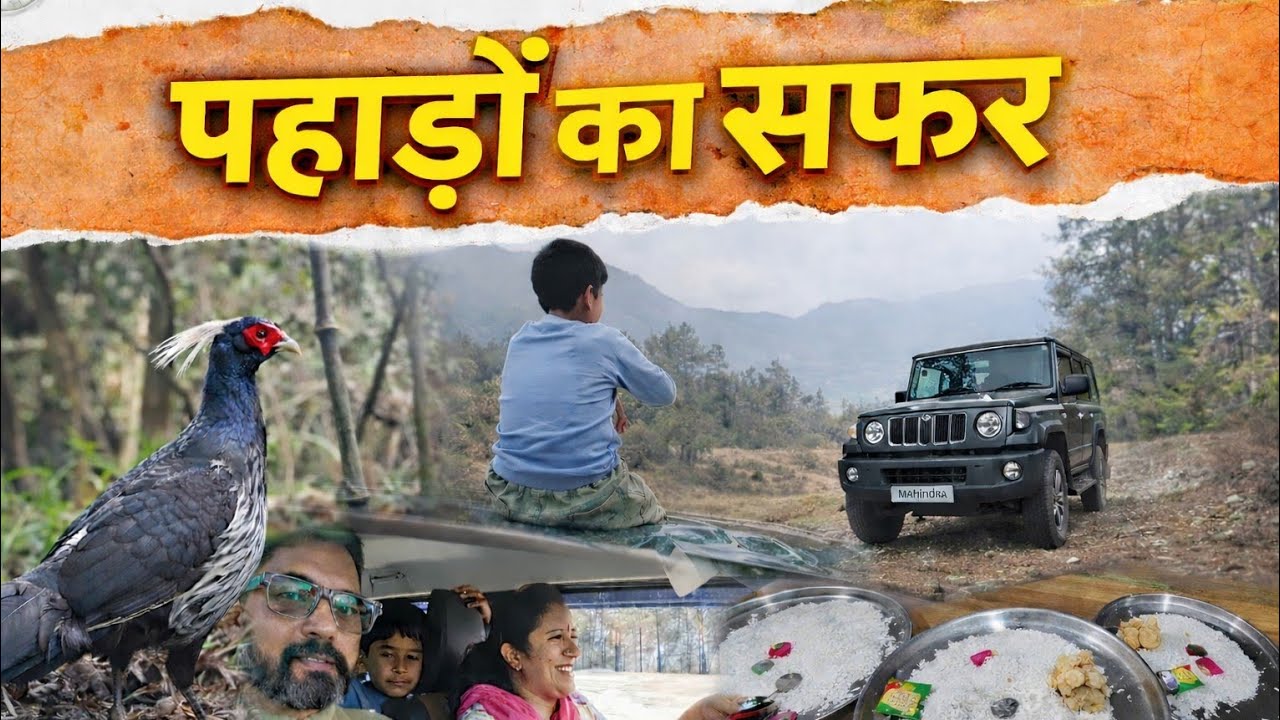  कलीज तीतर को समज बैठा मोनाल 🤣 ll India 🇮🇳