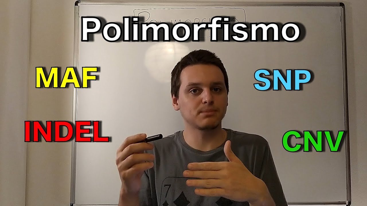 Polimorfismo | Curso de genética | Medicina passo a passo