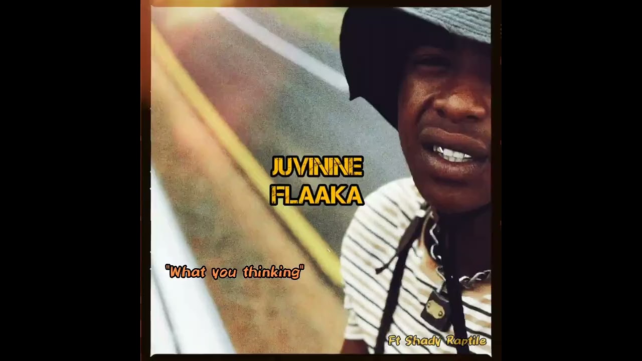 Juvinine Flaaka - What You Thinking ft Shady Raptile (Visualizer)