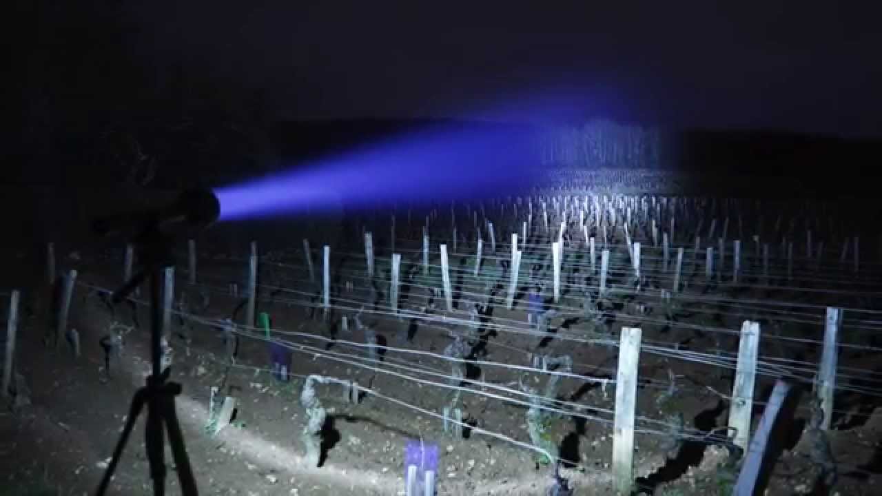 LED LENSER extreme outdoor test (P5R.2, M7R, M14, X14, M17R, X21R.2)