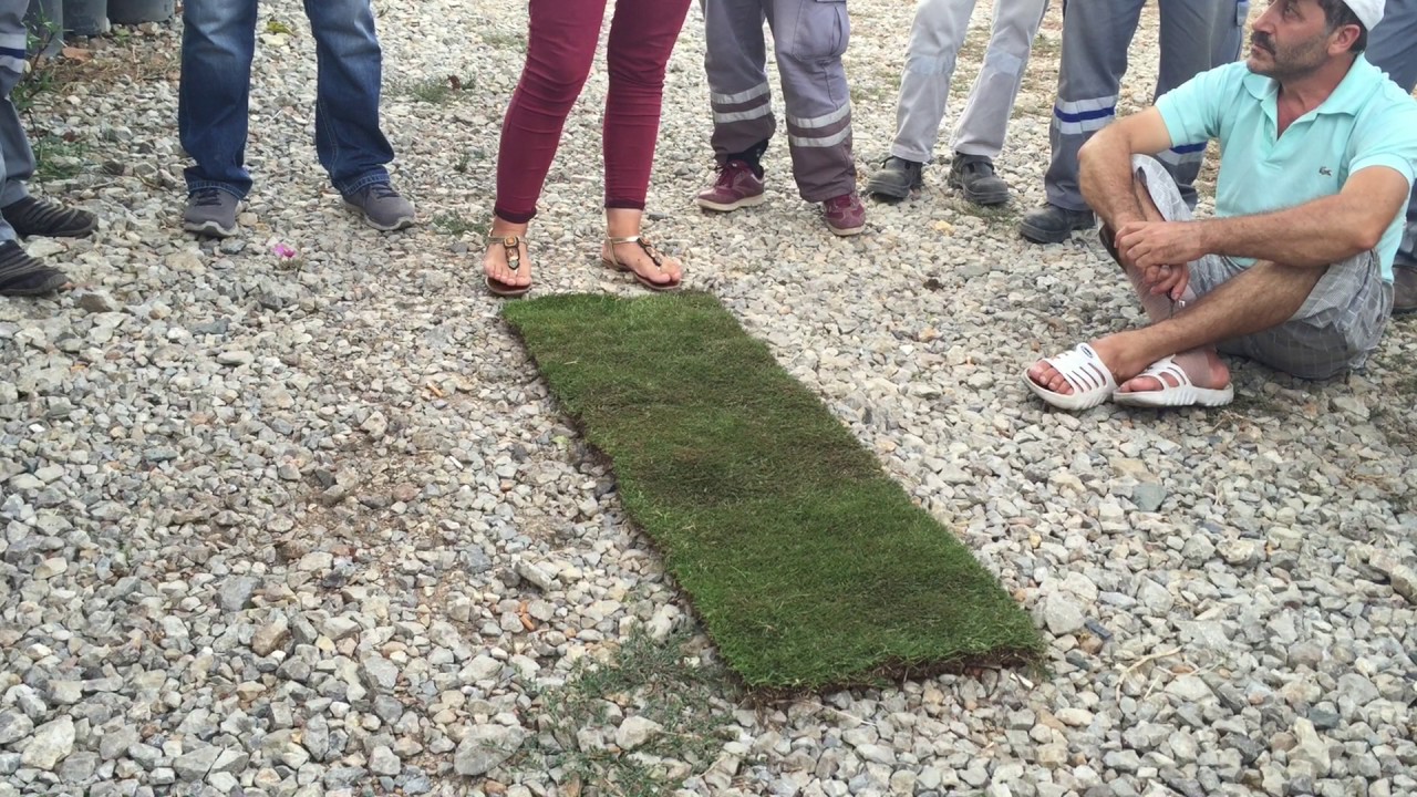 Rulo Çim Uygulama Aşamaları 1 (Peyzaj Öğreniyorum)