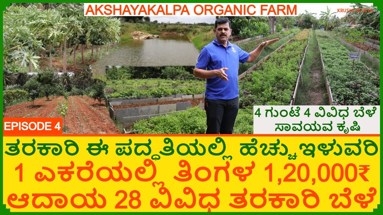 ಒಂದು ಎಕ್ಕರೆಯಲ್ಲಿ ತಿಂಗಳಿಗೆ 1,20,000₹ ಆದಾಯ | ಸಾವಯವ ಕೃಷಿಯಲ್ಲಿ 28 ವಿವಿಧ ತರಕಾರಿ ಸೊಪ್ಪು | Organic Farming