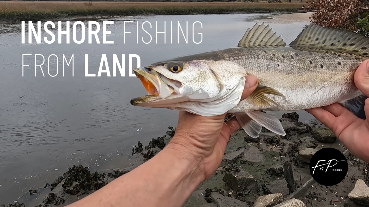 Catching Inshore Fish From Land St. Augustine Florida (How To)