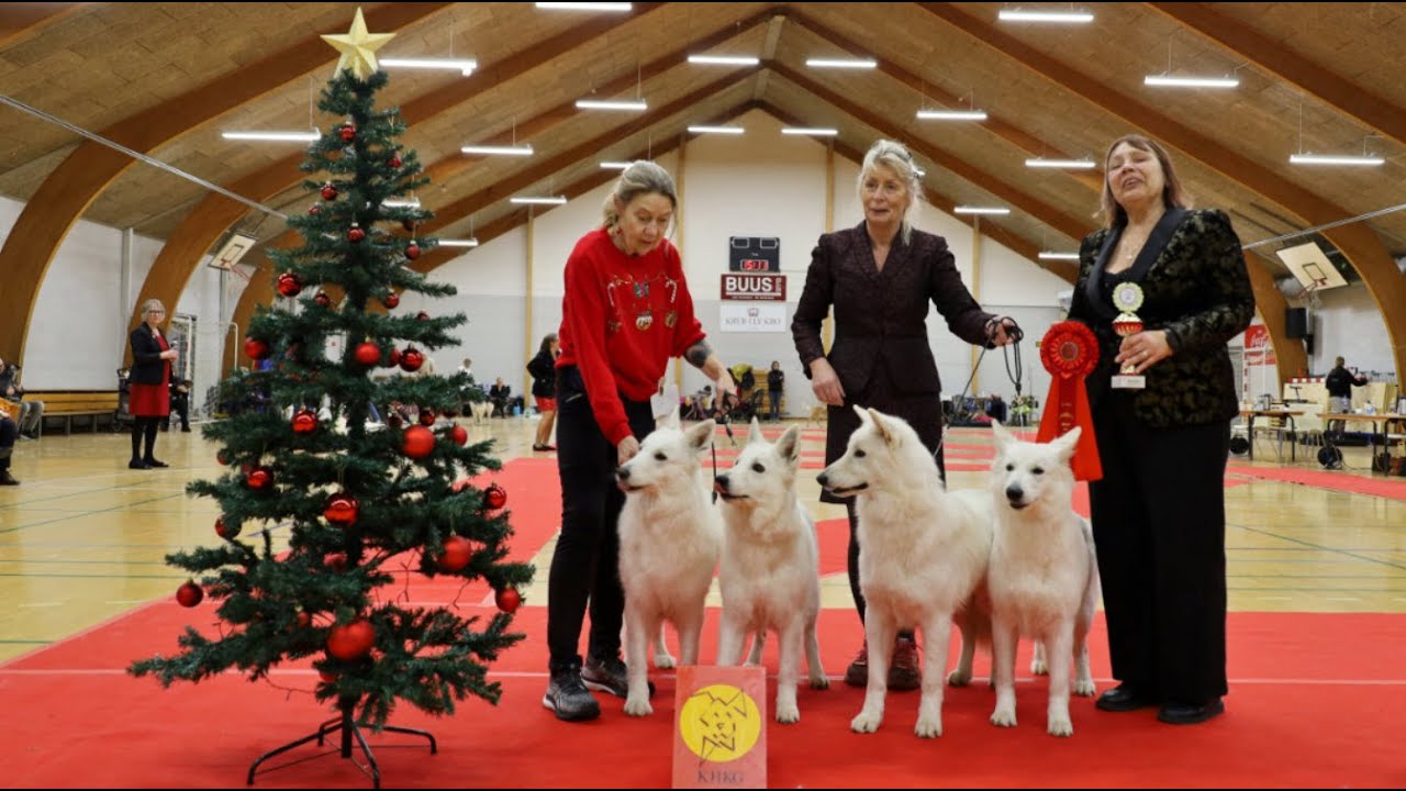 20241130 KHKG Juleudstilling 2 HSH