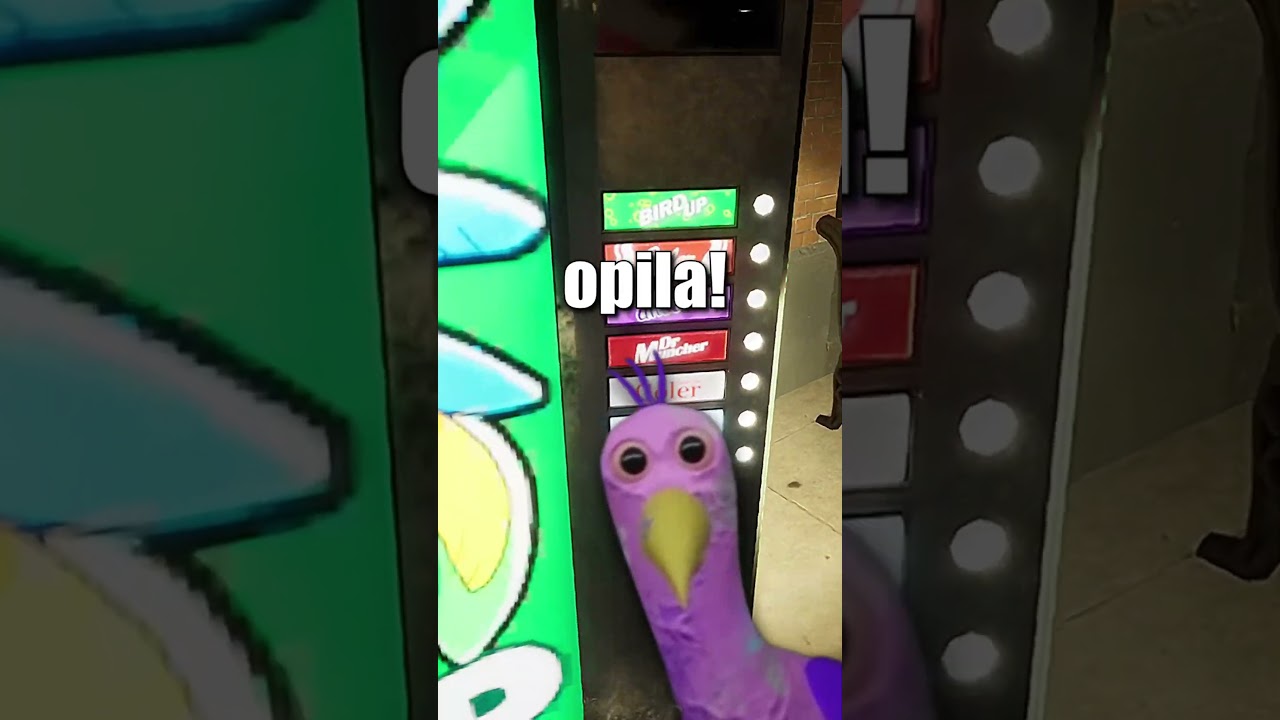 BIRD UP! 🦜