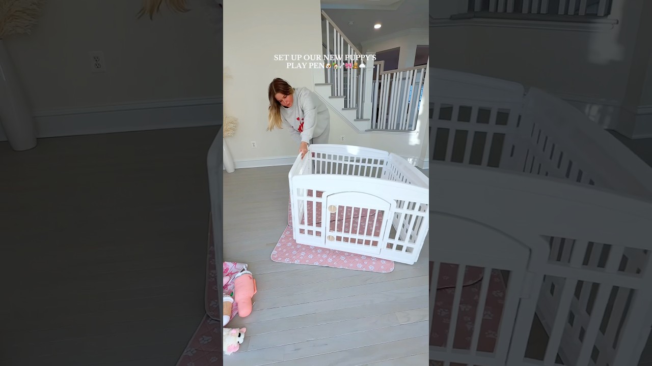 our new puppy is here🥹🎀✨ #playpen