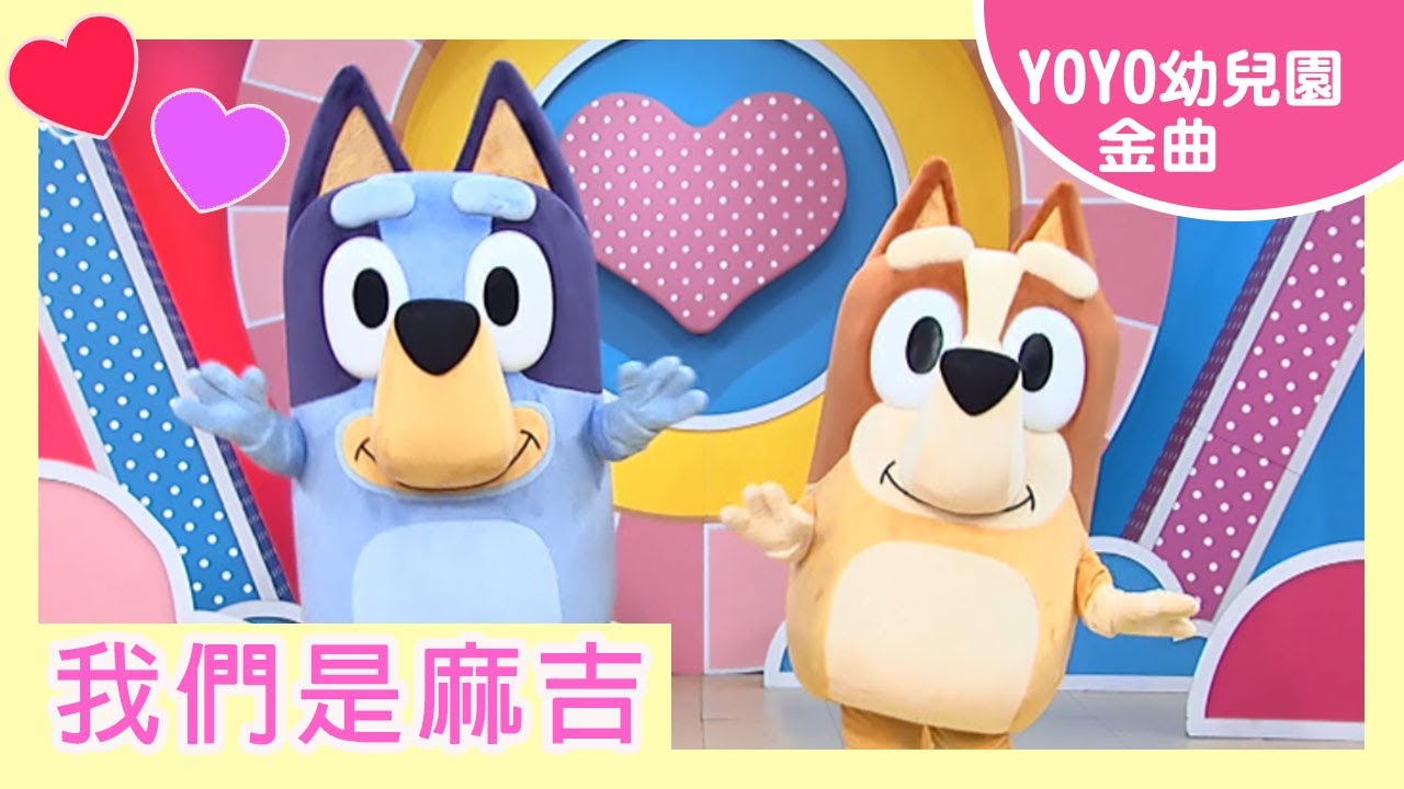 【我們是麻吉】｜  美式夏綠蒂幼兒園｜卡通明星 布麗 賓果｜2022.10.11