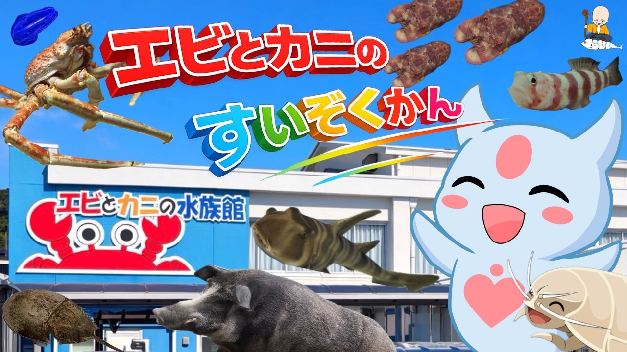【和歌山県水族館の旅】すさみ町エビとカニの水族館