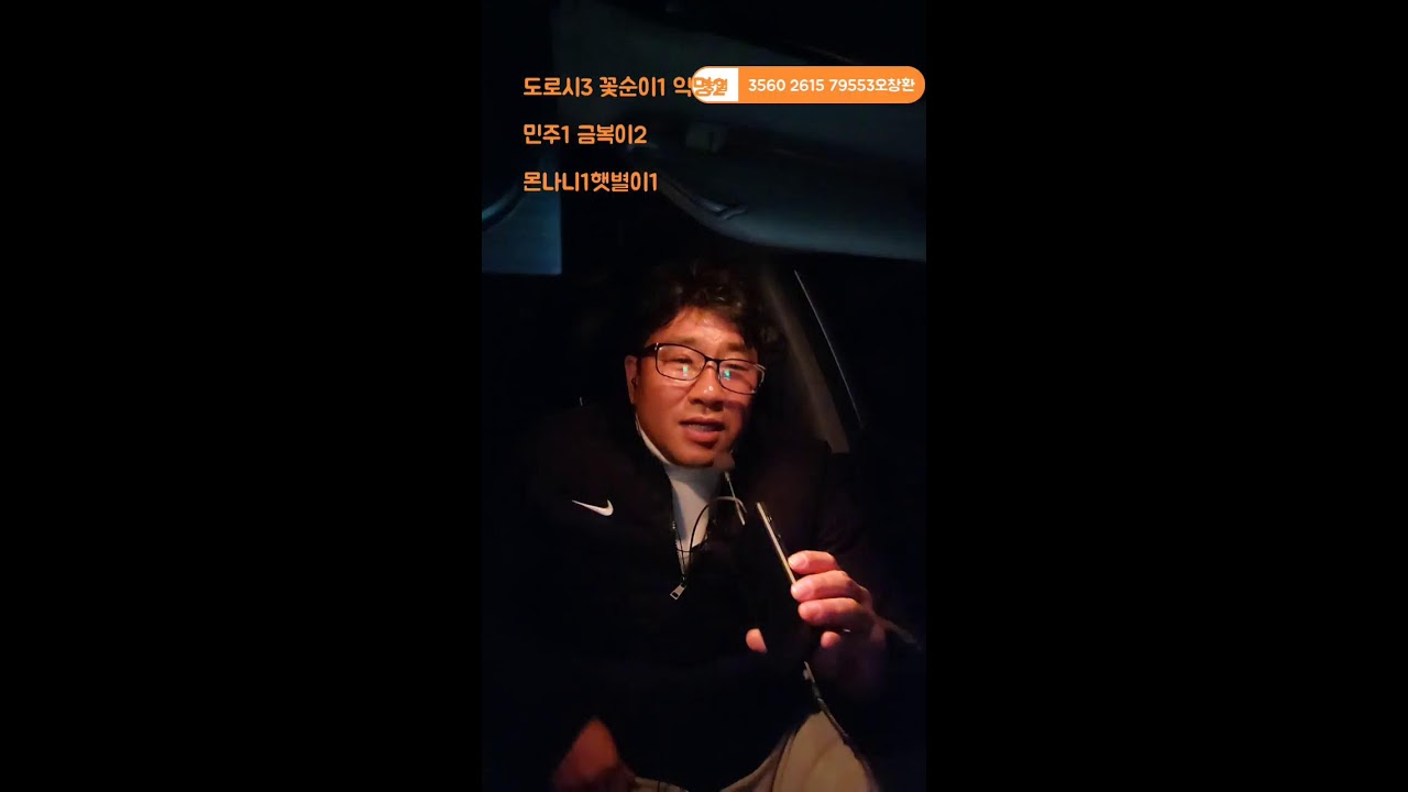 돌싱부부 라이브 방송