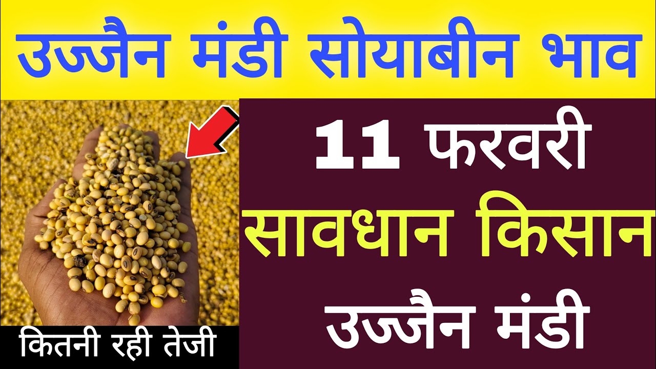 soyabin bhav Ujjain mandi l 11 February 2026 l ujjain mandi bhav Today l live bhav