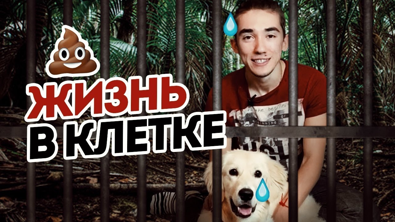 ЗАЧЕМ Я ЗАПЕР СОБАКУ В КЛЕТКЕ? ЗОЛОТИСТЫЙ Ретривер в квартире/ Как приучить ГОЛДЕНА к туалету