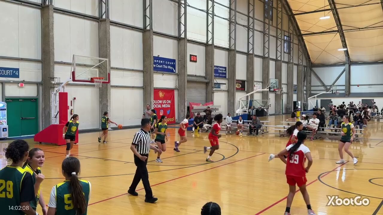 1 24 vs FBC Lady goats