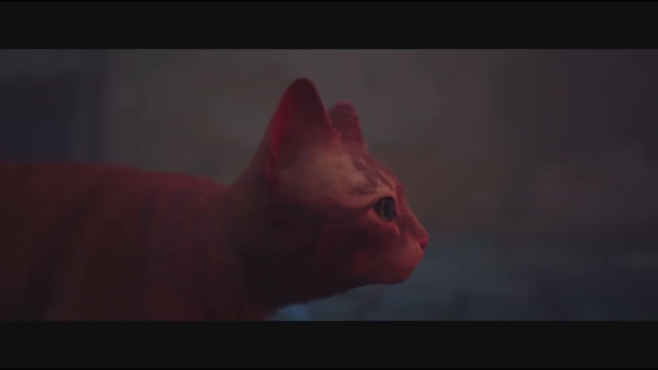El gato sin botas.