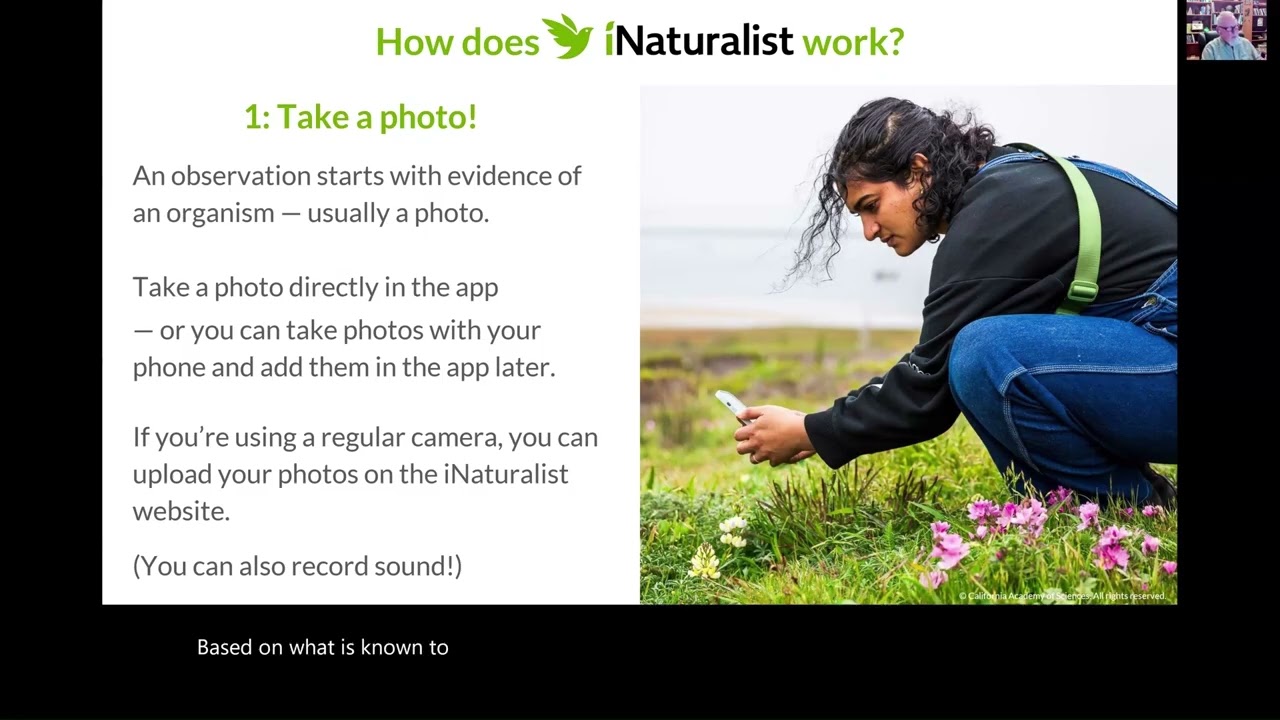 Introduction to iNaturalist, a community science app