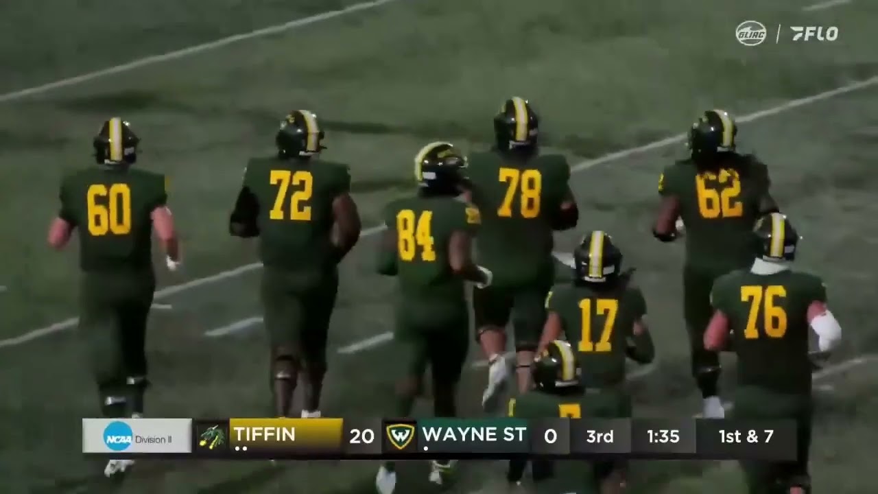 Tiffin University vs Wayne State Football Highlights | 2025 D2 Football