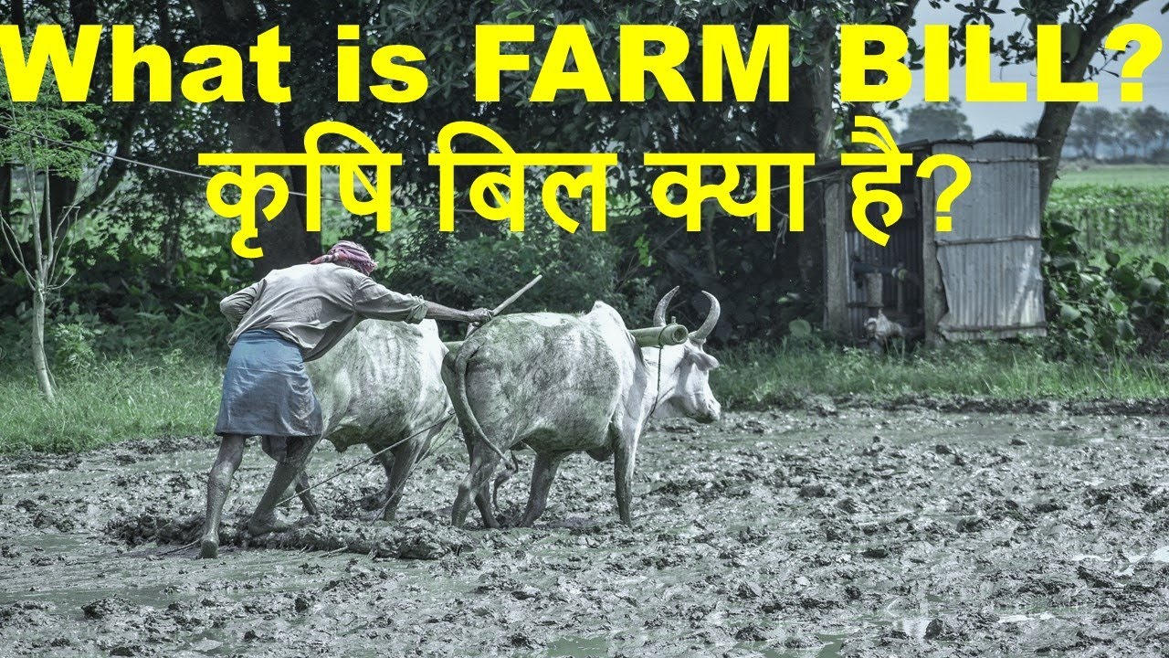 Farm bill 2020 explained/Agriculture bill 2020/Why Farmers Protesting/all job exams/Sarkari Khabar