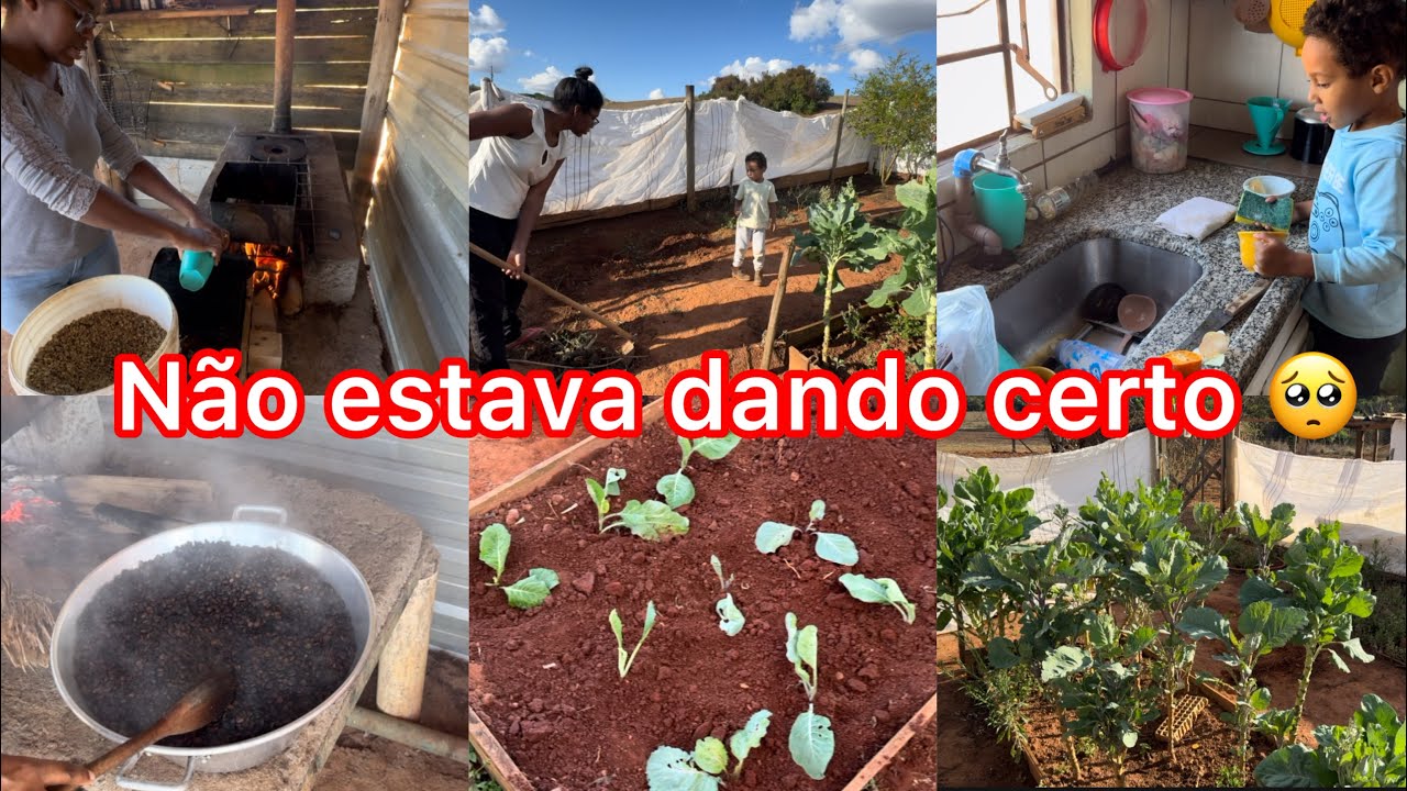 Contei como viemos parar nessa fazenda/ come&ccedil;o  da nossa horta/ torrei caf&eacute; no fog&atilde;o a lenha 