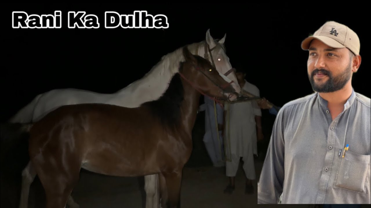 Rani Ka Dulha Charda Soraj Dosri Bar Cross Krva Dia