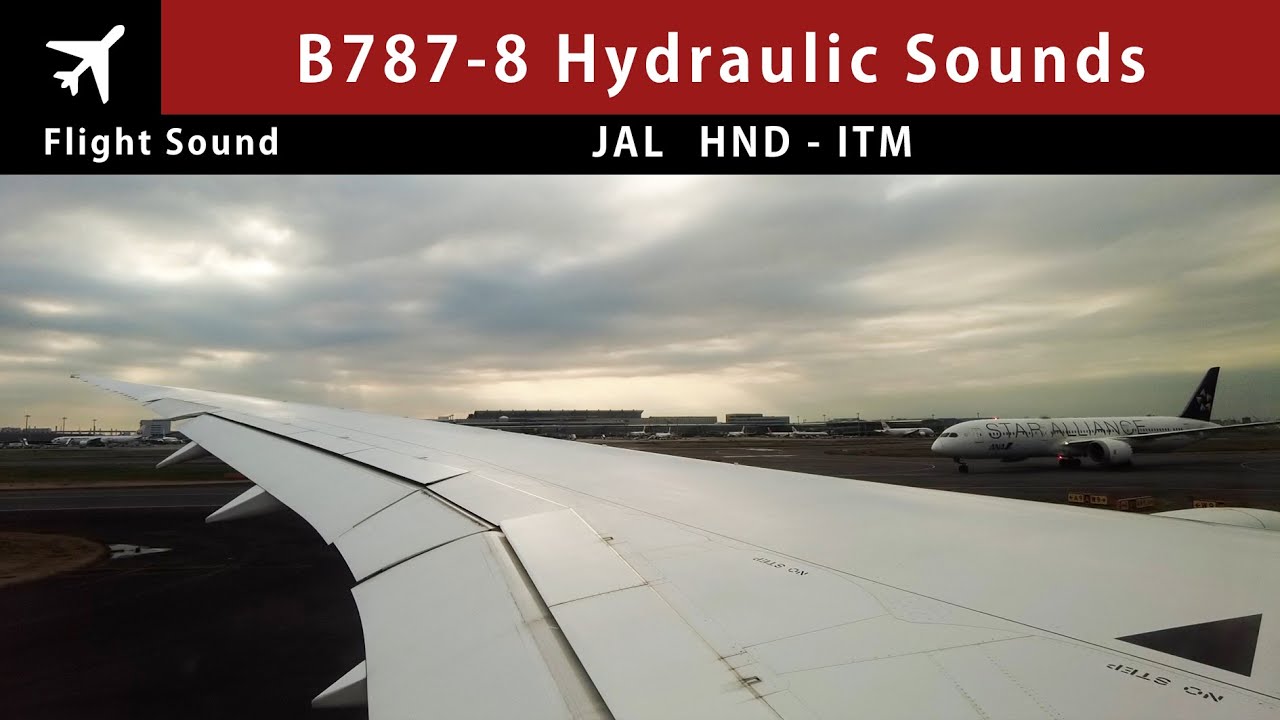 AMAZING HYDRAULIC SOUNDS Japan Airlines B787-8 | Tokyo HND - Osaka ITM [Flight Sound+Video]