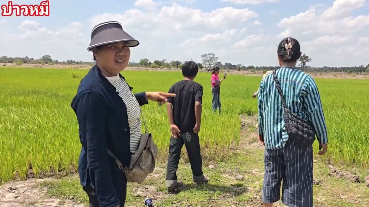 พามาดูขบวนการต้มเกลือของชาวบ้าน และนาข้าวของสาวแห้ง.🌾🌾🌾🌾15/3/2026