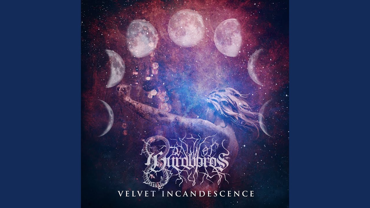Velvet Moon