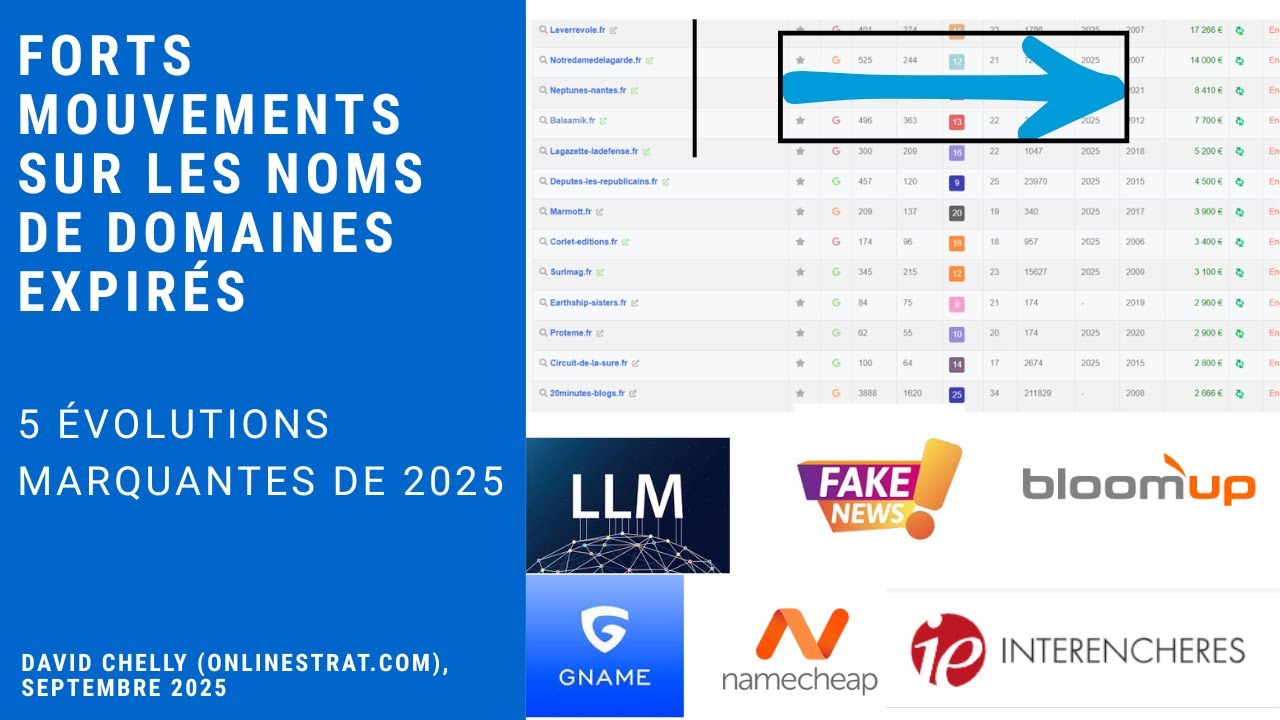 Forts mouvements sur les noms de domaine expirés : 5 évolutions marquantes de 2025