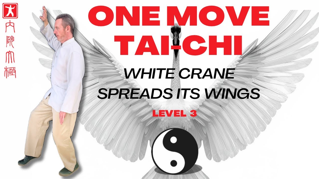 White Crane Spreads Its Wings | One Move Tai Chi  Level 3 (Advanced Lesson)