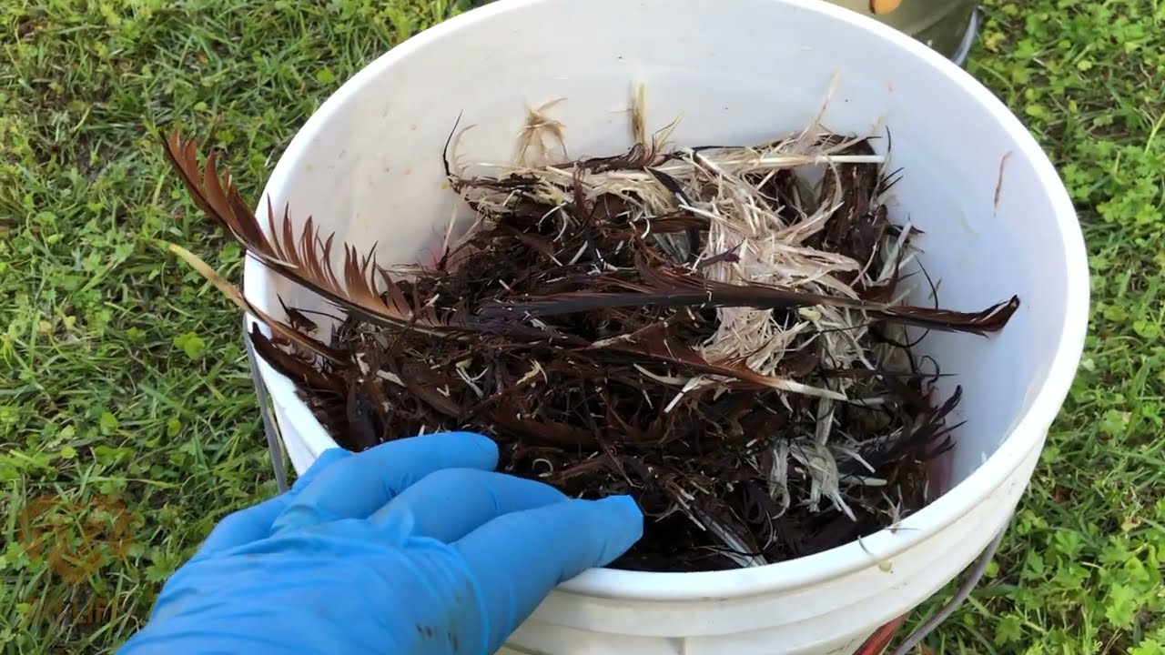 SOLVED! YardBird Chicken Plucker Most Common Complaint