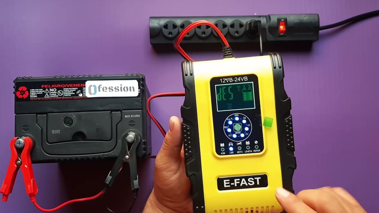 Cargador inteligente para baterías de 12v y 24v , batería de camión, buses, maquinaria, auto, moto.