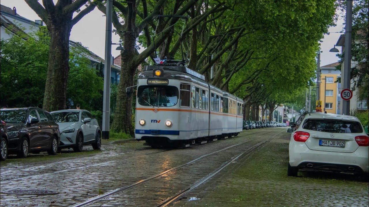 Mannheim: Nostalgie Paradies mit Hochflurfahrzeugen anlässlich des internationalen Museumstags