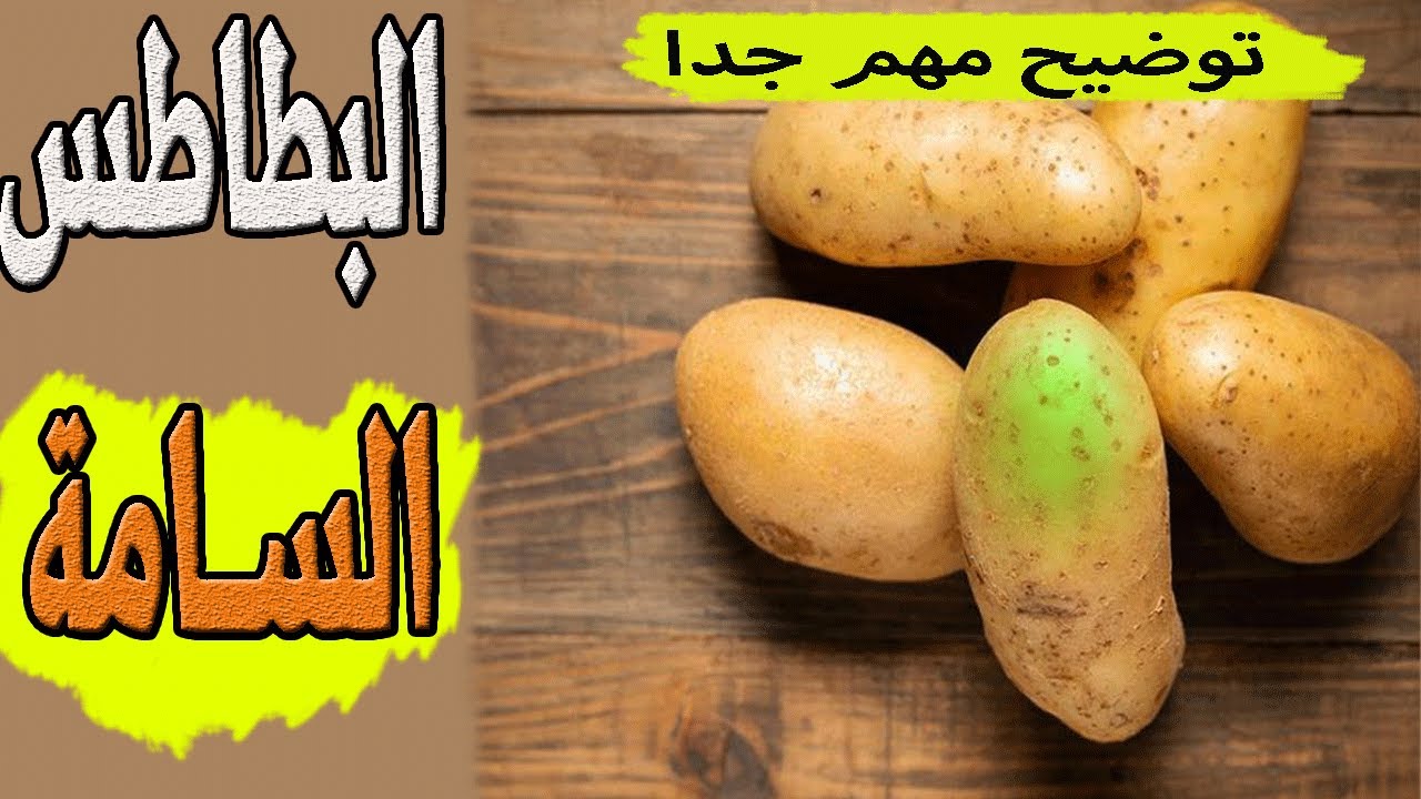 البطاطس - البطاطس السامة - المادة السامة في البطاطس وكيف نتخلص منها ⁉️