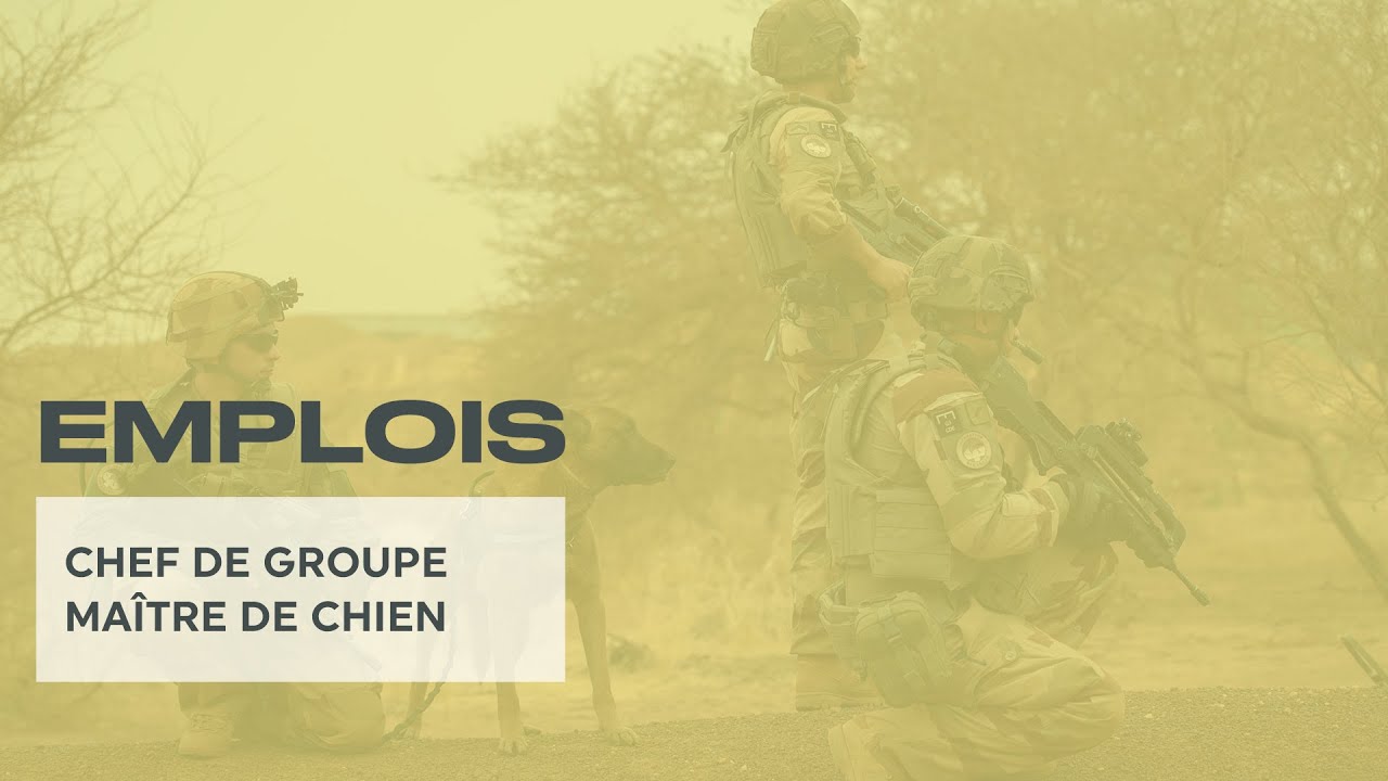 Chef de groupe maître de chien