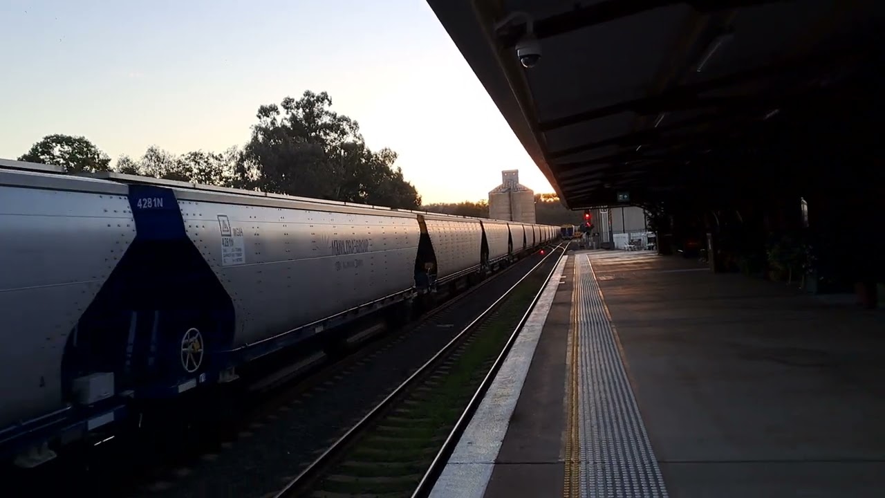 Loaded Manildra Grain train through Gunnedah destination Bomaderry Nowra Yard 7/7/25