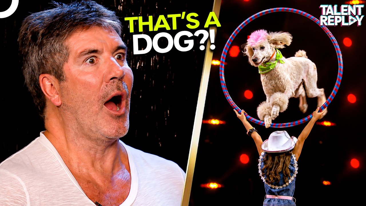 THAT'S A DOG?! The Most Incredible Animal Dancers You'll Ever See | AGT & BGT