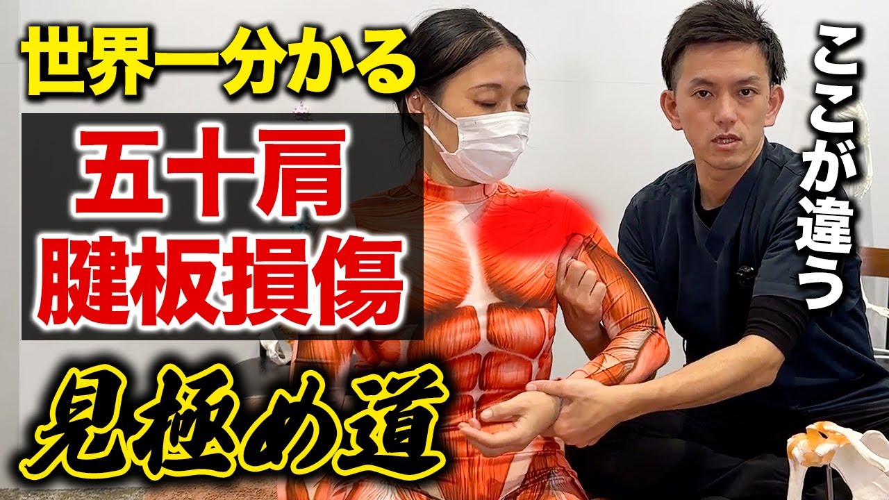 【※超有料級※】これを見れば五十肩・腱板損傷について理解できる神ワザと㊙治療テクニック！