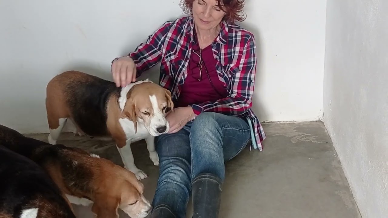 Oreo, Sabina y Abril, llegada al refugio